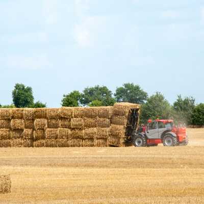 Koop een Manitou MLT 1040-145 PS+L - Télescopique agricole - Image #3